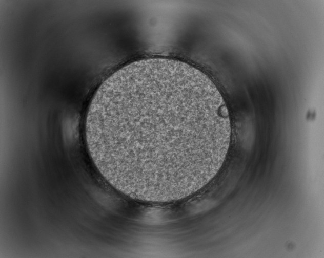 X0000103900504200810311413