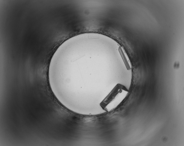 X0000103900505200810311413