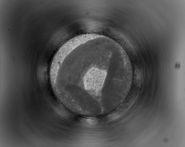 X0000103900506200810311413