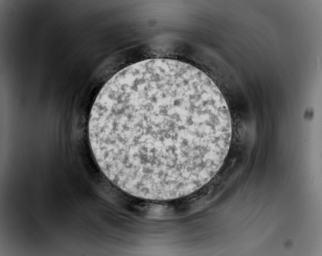 X0000103900507200810311413