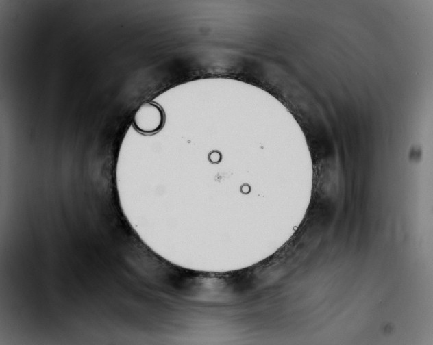 X0000103900509200810311413