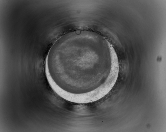 X0000103900511200810311413