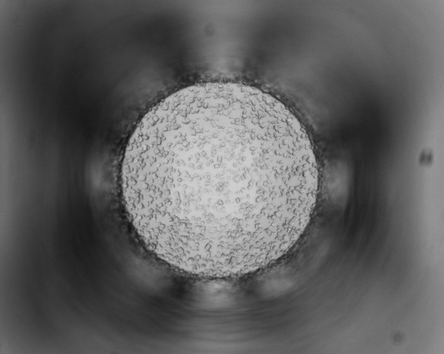 X0000103900512200810311413