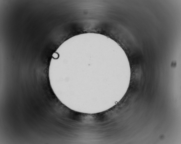 X0000103900513200810311412