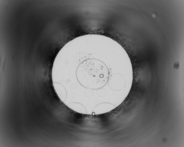 X0000103900515200810311412