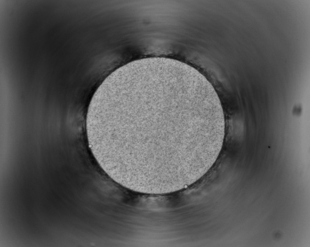 X0000103900517200810311412