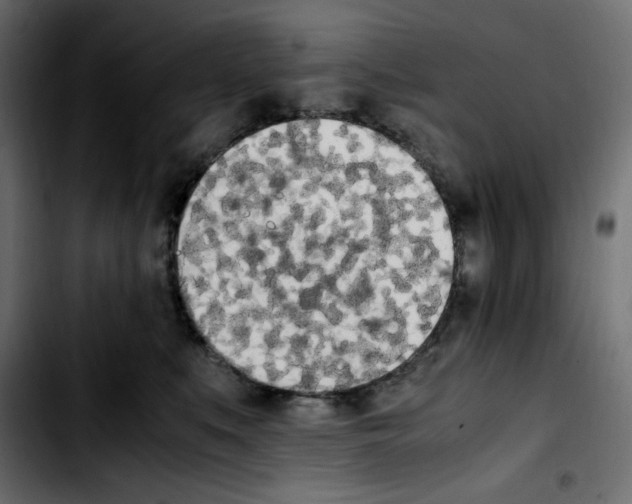 X0000103900519200810311412