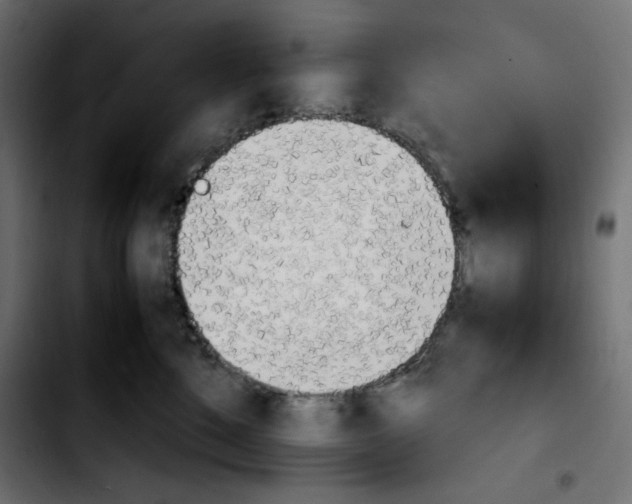 X0000103900520200810311412