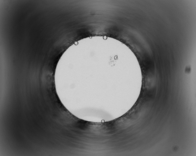 X0000103900521200810311412