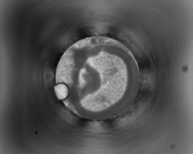 X0000103900523200810311412