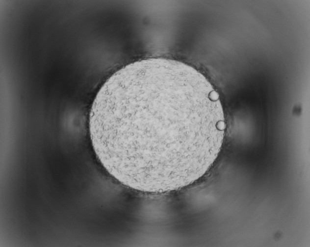 X0000103900524200810311412