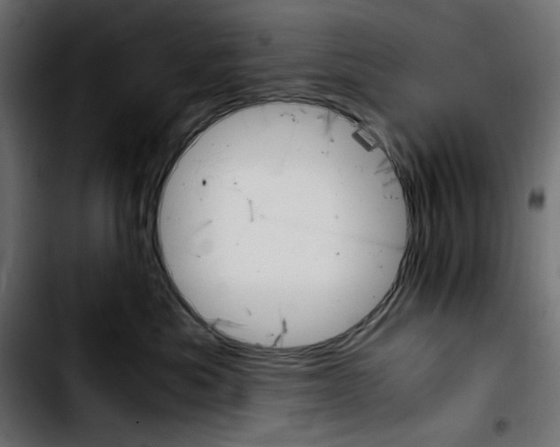 X0000103900525200810311412