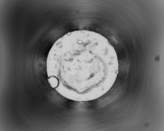 X0000103900527200810311412