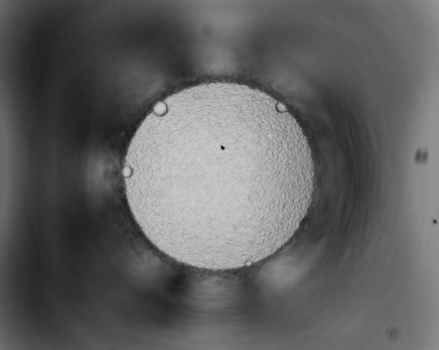 X0000103900528200810311412