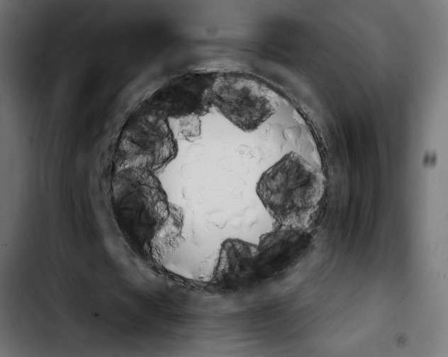 X0000103900529200810311412