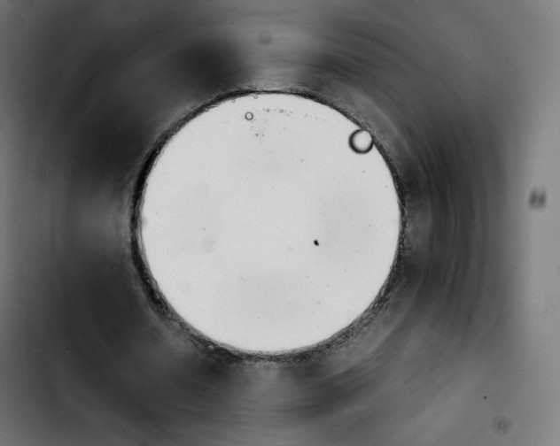 X0000103900530200810311412