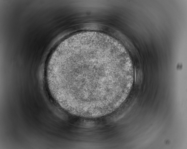 X0000103900531200810311412