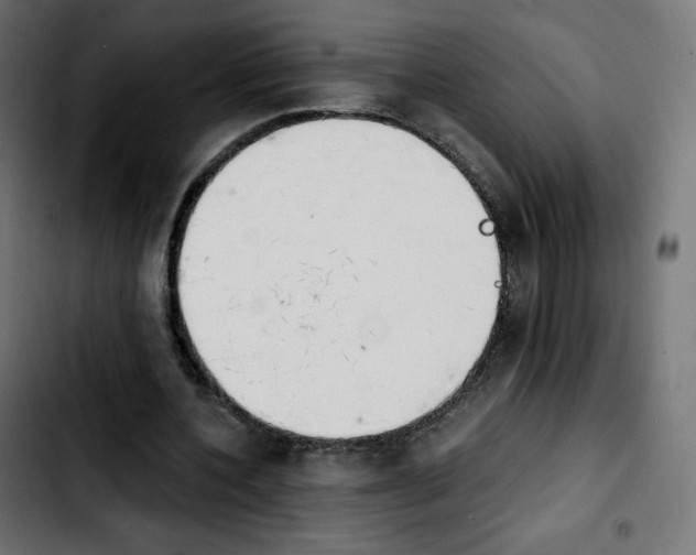 X0000103900532200810311412