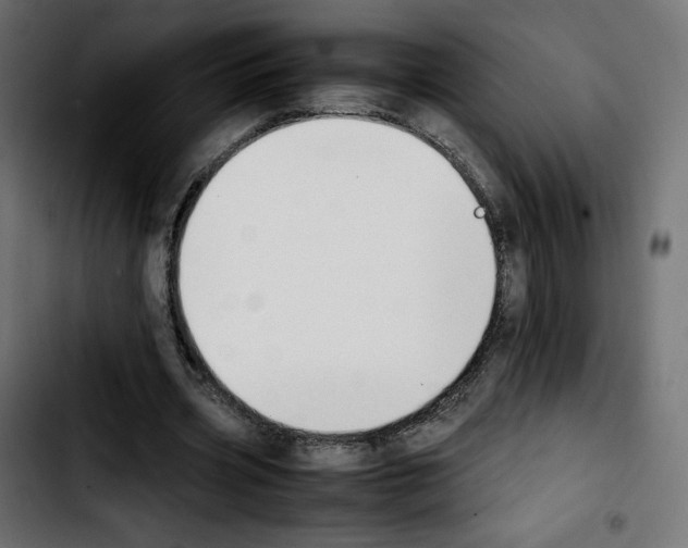 X0000103900533200810311412