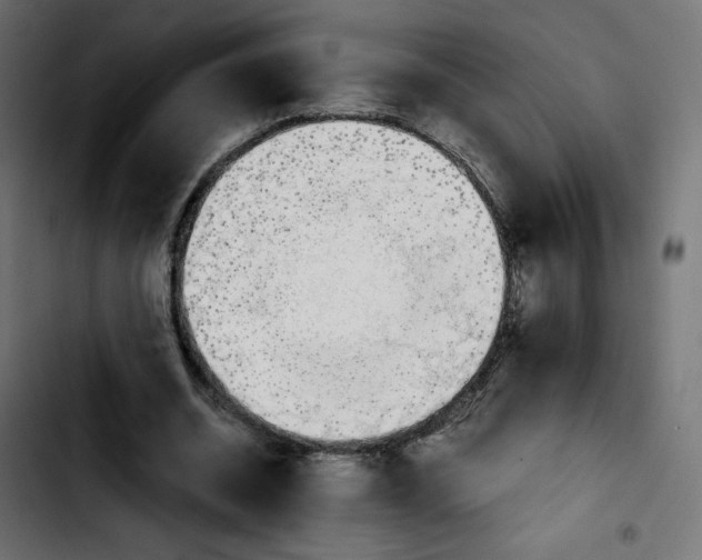 X0000103900534200810311412