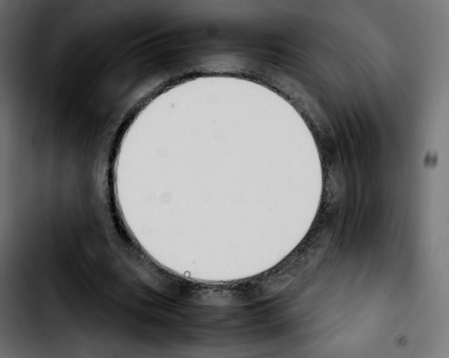 X0000103900535200810311412