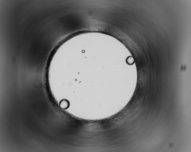 X0000103900536200810311412