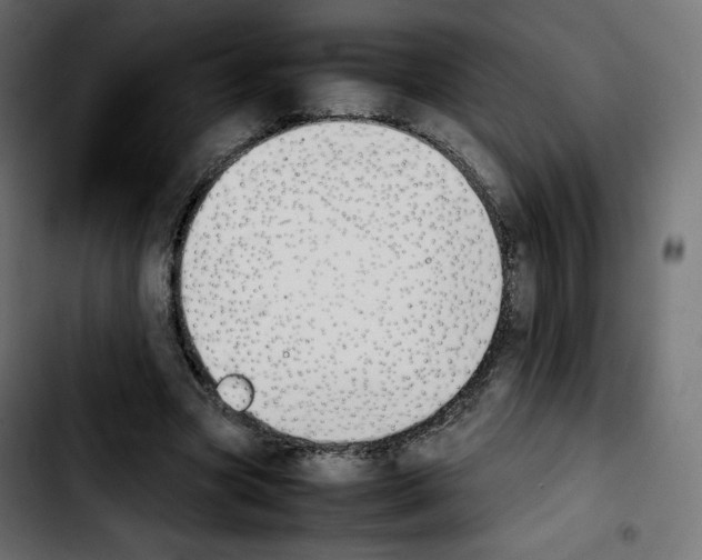 X0000103900537200810311412