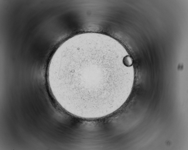 X0000103900538200810311412