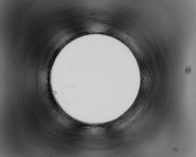 X0000103900539200810311412