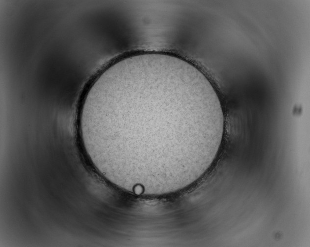 X0000103900540200810311412