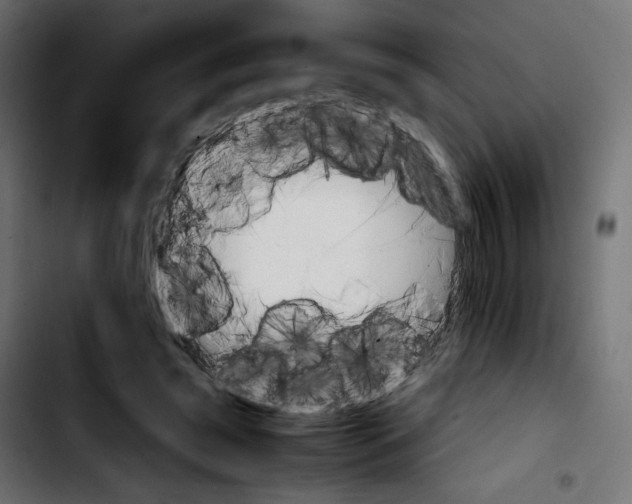 X0000103900541200810311412