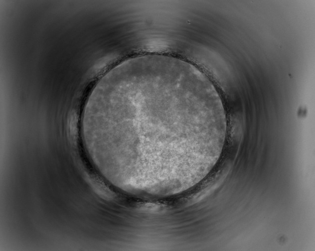 X0000103900542200810311412