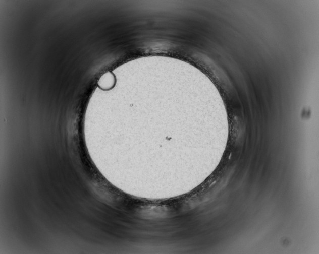 X0000103900543200810311412