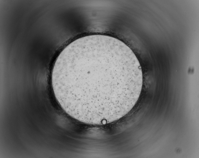 X0000103900544200810311412