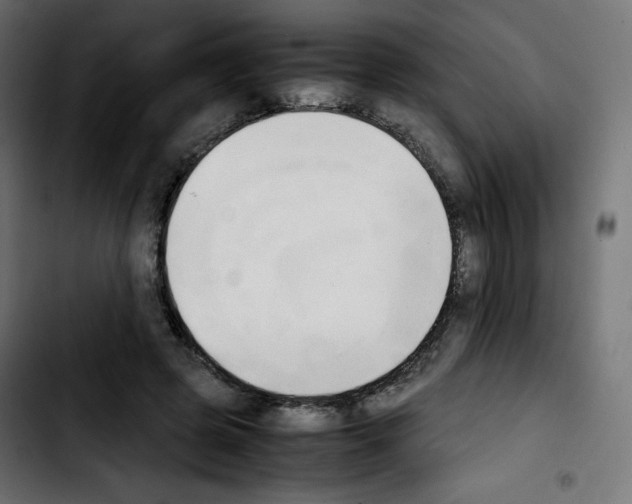 X0000103900545200810311412