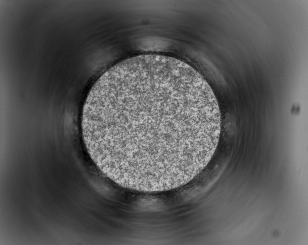 X0000103900547200810311412