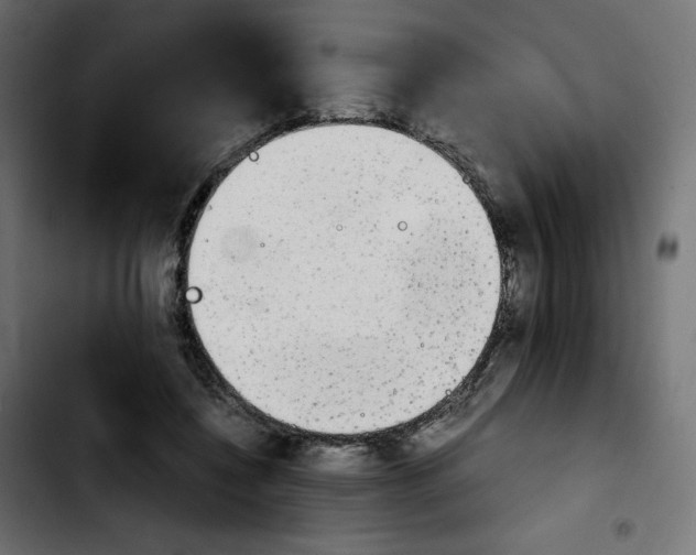 X0000103900548200810311412