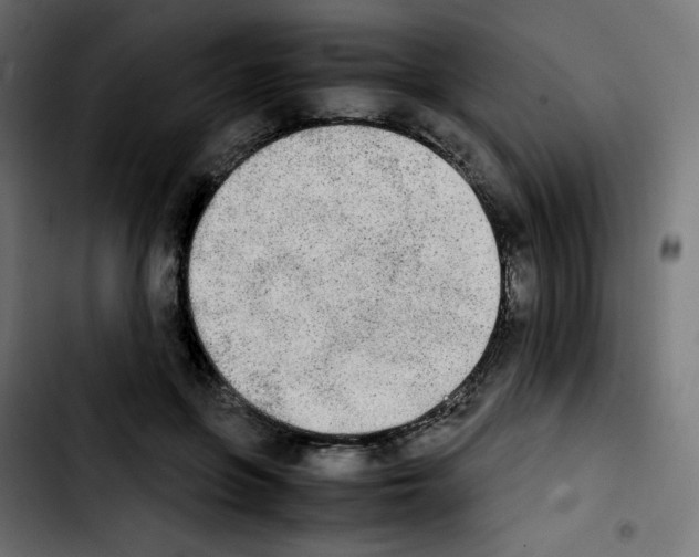 X0000103900551200810311412