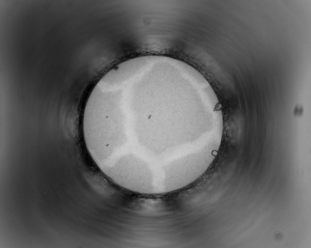 X0000103900552200810311412