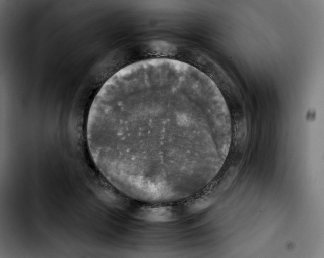 X0000103900553200810311412