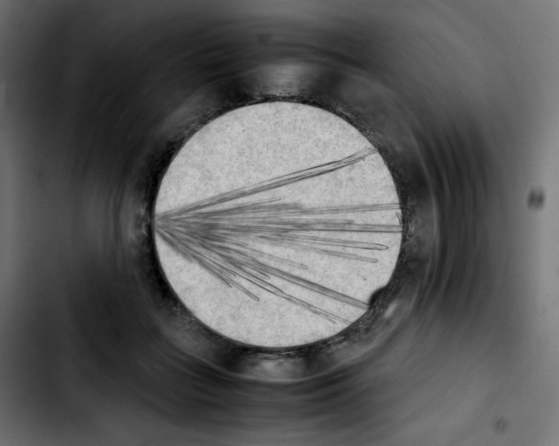 X0000103900555200810311412