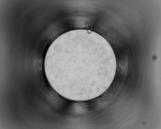 X0000103900556200810311412