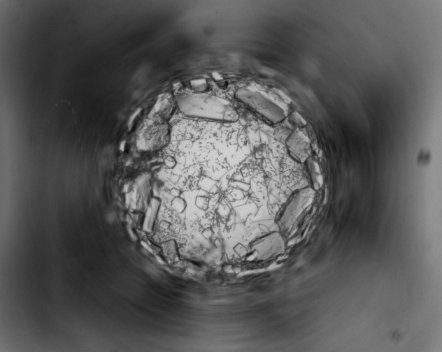 X0000103900558200810311412