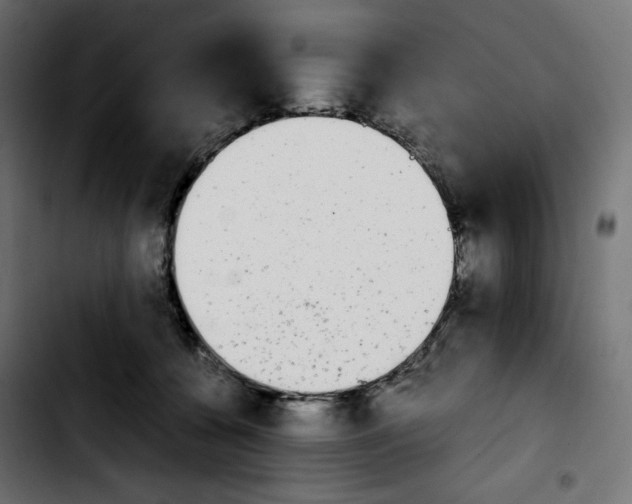 X0000103900560200810311412