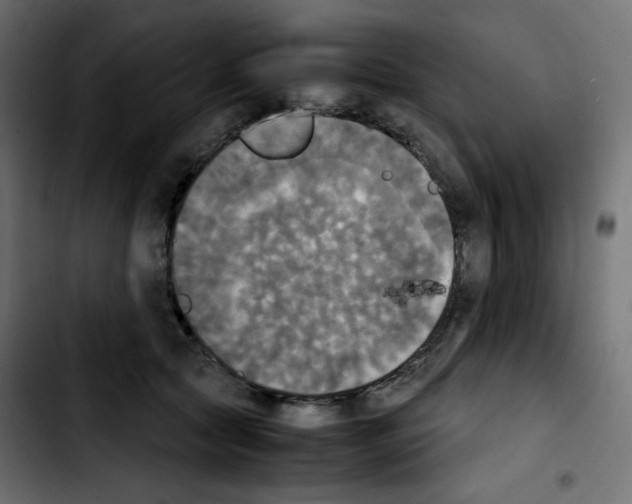 X0000103900561200810311412