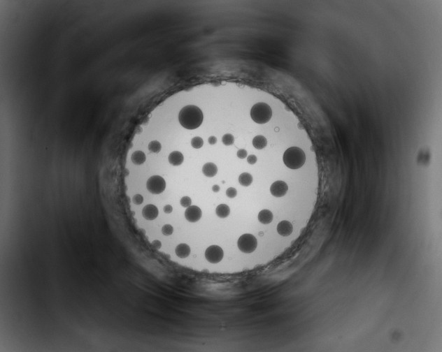 X0000103900563200810311412