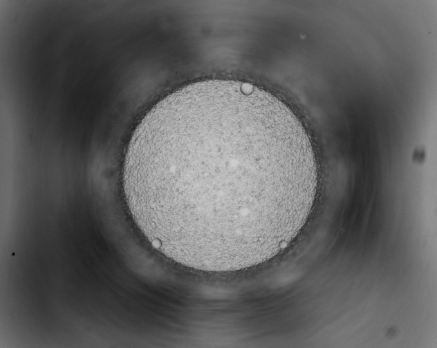 X0000103900564200810311412