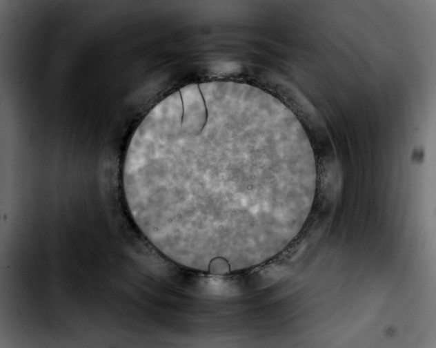 X0000103900565200810311412