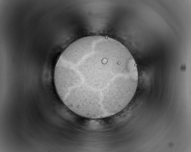 X0000103900566200810311412