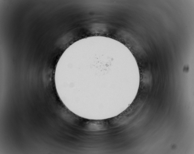 X0000103900567200810311412